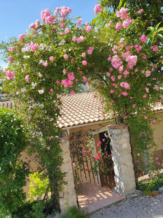 Partie De Sur Colline Au-dessus De Nizza