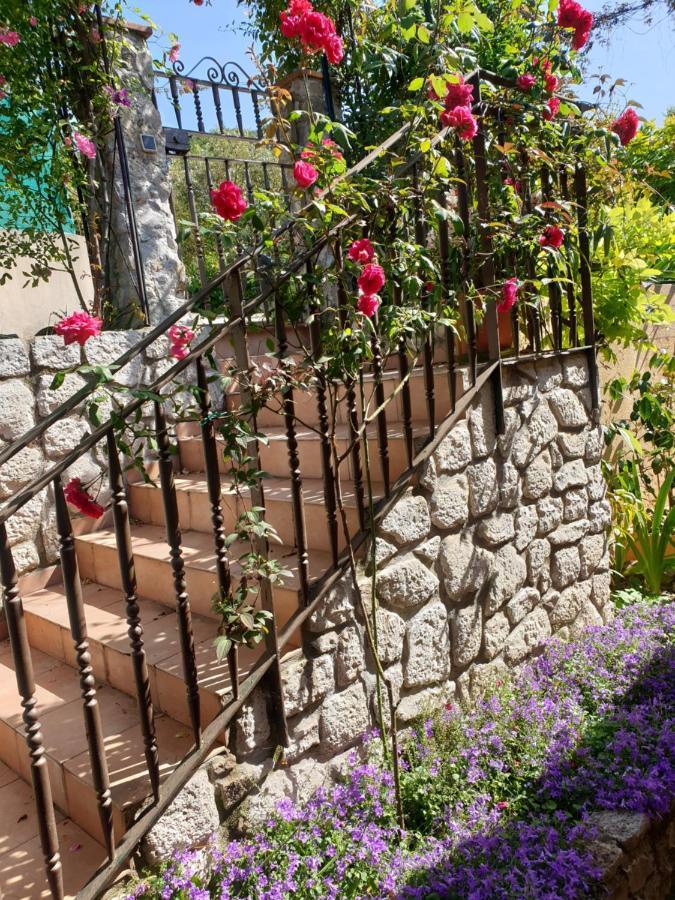 Partie De Sur Colline Au-dessus De Apartment Nizza